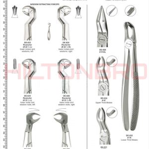 Dental Extracting Forceps