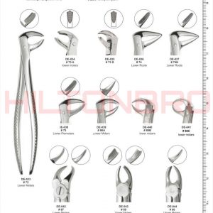 Dental Extracting Forceps