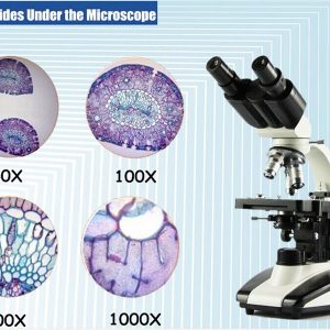 biological microscope