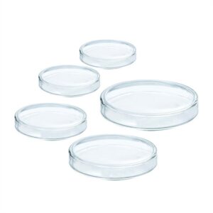 Lab Borosilicate 60mm 90mm 100mm Glass Petri Cell Culture Dish with Lid